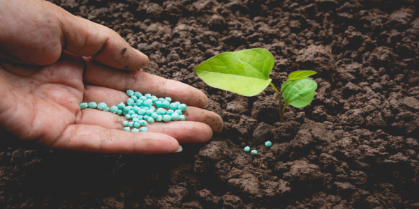 Governo quer ampliar produção nacional de fertilizantes